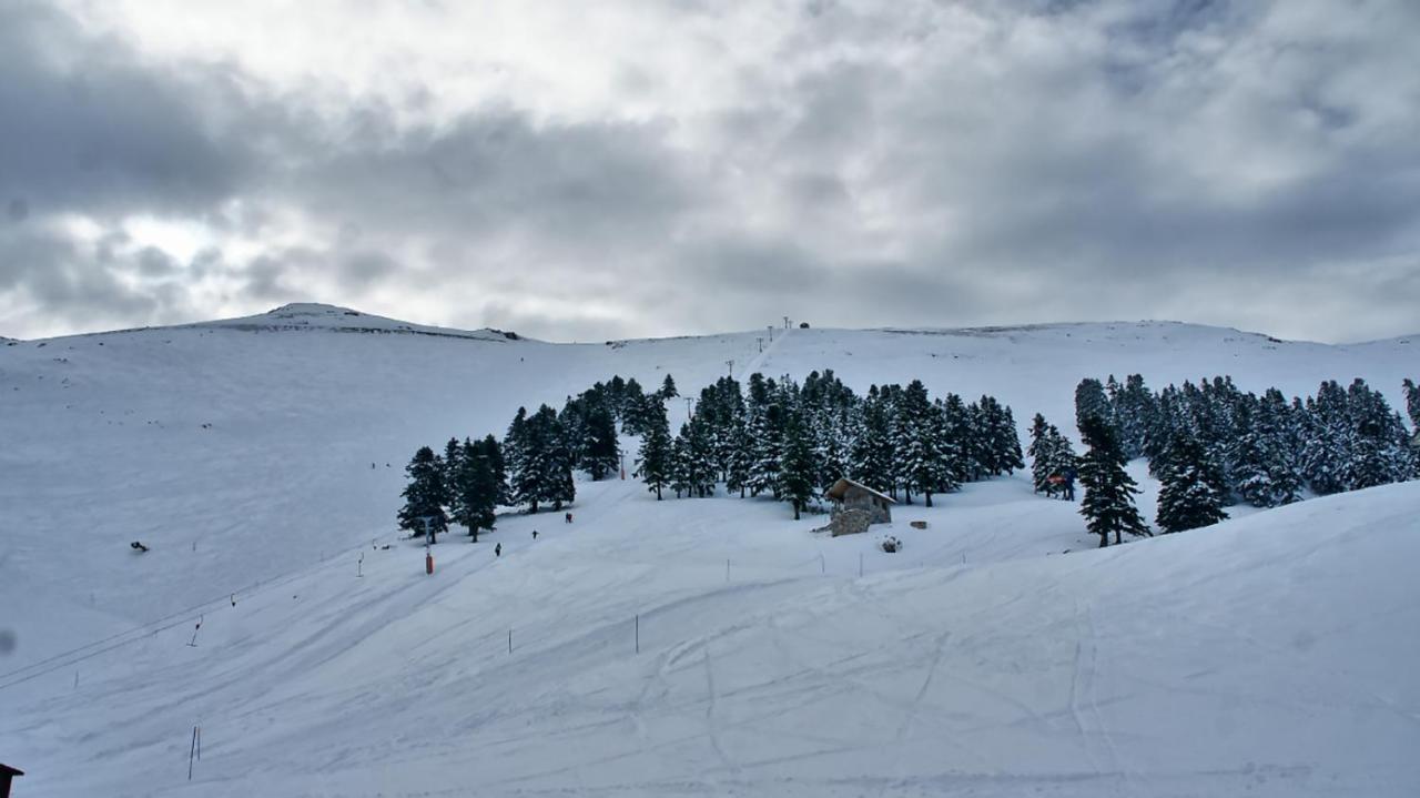 Chalet Coquelicot Kalávryta Eksteriør bilde