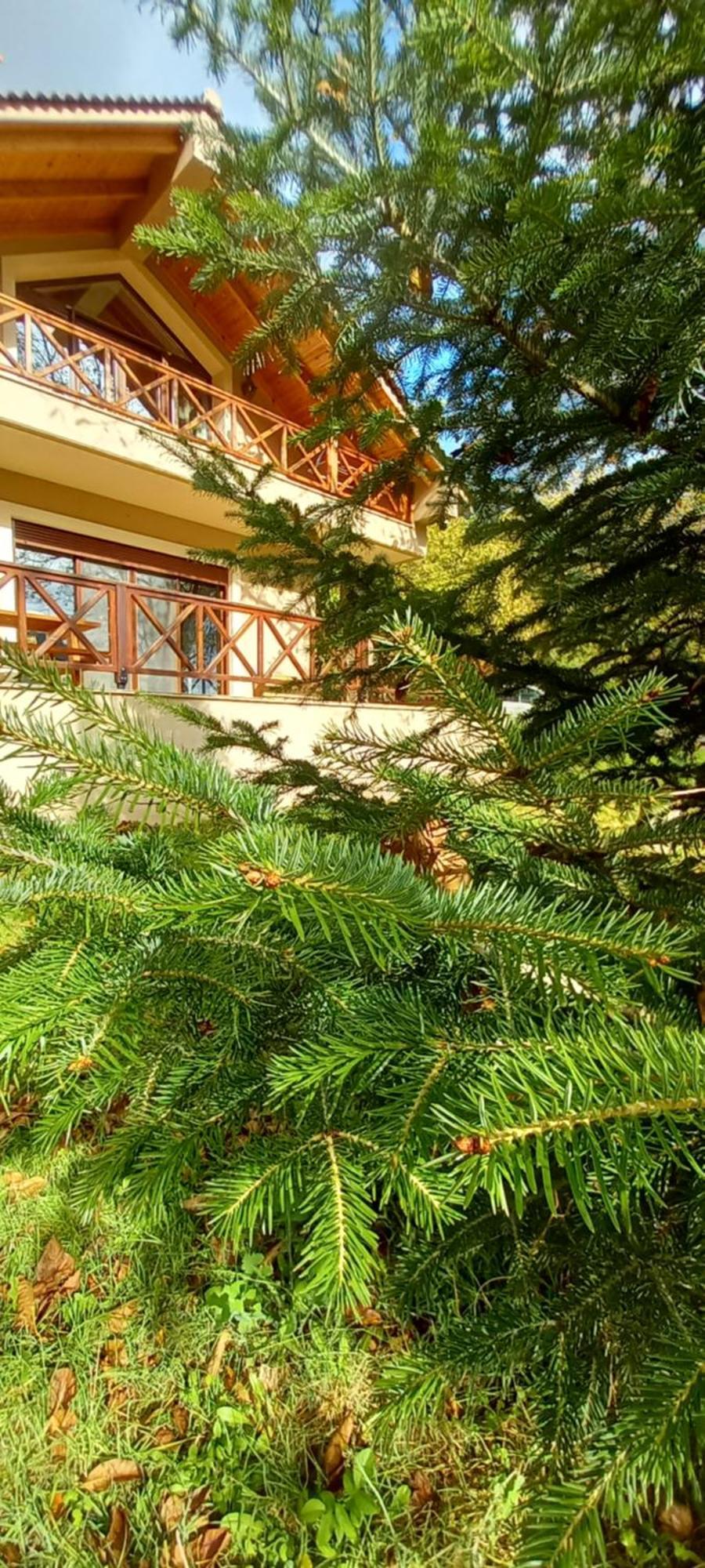 Chalet Coquelicot Kalávryta Eksteriør bilde